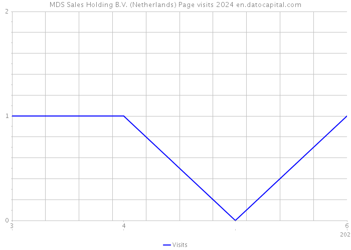 MDS Sales Holding B.V. (Netherlands) Page visits 2024 
