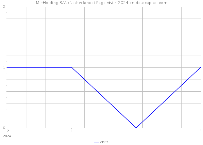 MI-Holding B.V. (Netherlands) Page visits 2024 