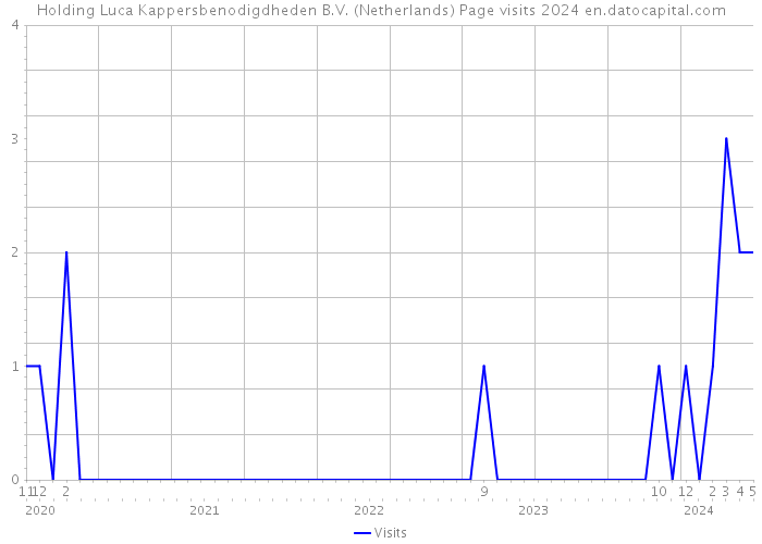 Holding Luca Kappersbenodigdheden B.V. (Netherlands) Page visits 2024 