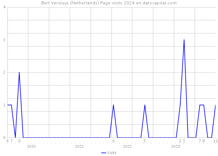 Bert Versluys (Netherlands) Page visits 2024 