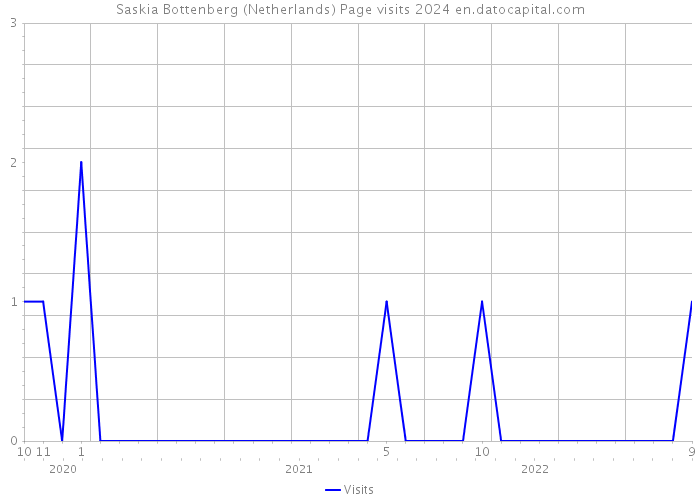 Saskia Bottenberg (Netherlands) Page visits 2024 
