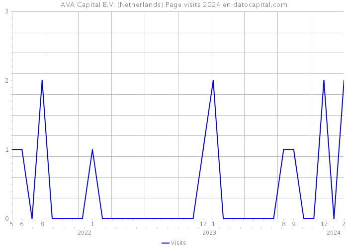 AVA Capital B.V. (Netherlands) Page visits 2024 