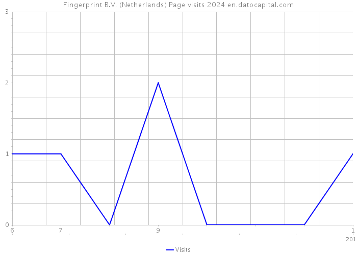 Fingerprint B.V. (Netherlands) Page visits 2024 