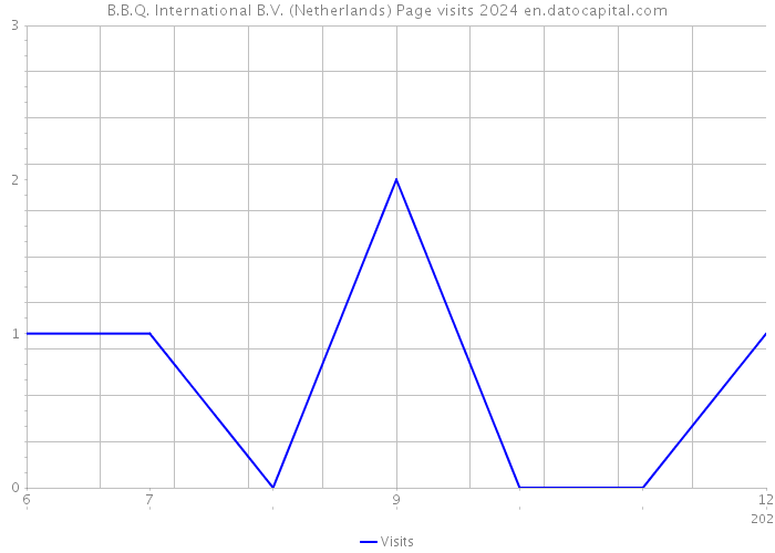 B.B.Q. International B.V. (Netherlands) Page visits 2024 