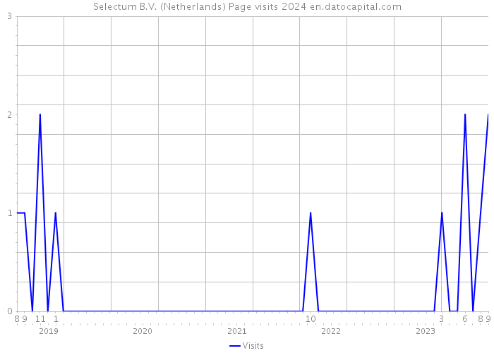 Selectum B.V. (Netherlands) Page visits 2024 