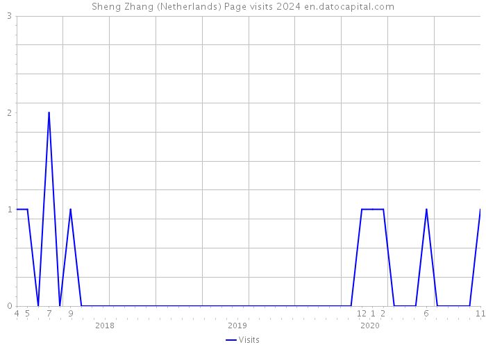 Sheng Zhang (Netherlands) Page visits 2024 