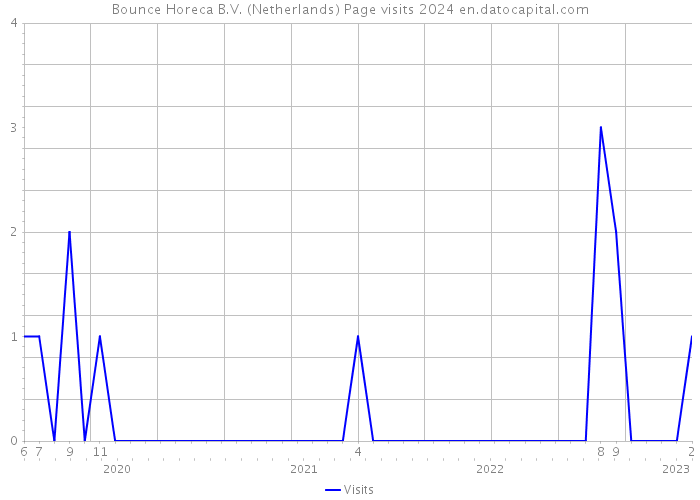 Bounce Horeca B.V. (Netherlands) Page visits 2024 
