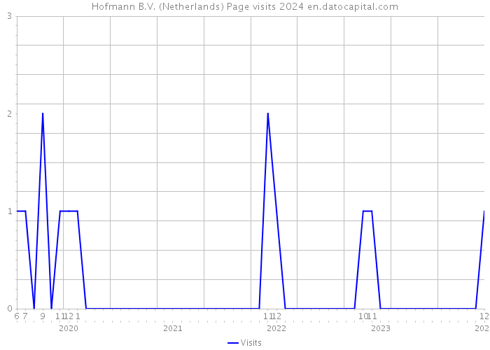 Hofmann B.V. (Netherlands) Page visits 2024 