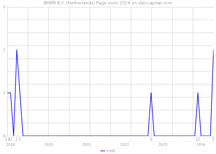 BHMR B.V. (Netherlands) Page visits 2024 