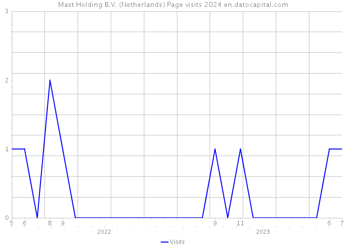 Mast Holding B.V. (Netherlands) Page visits 2024 