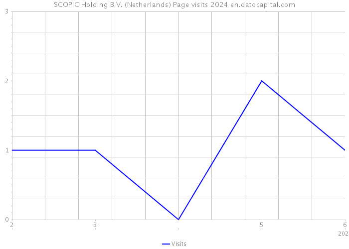 SCOPIC Holding B.V. (Netherlands) Page visits 2024 