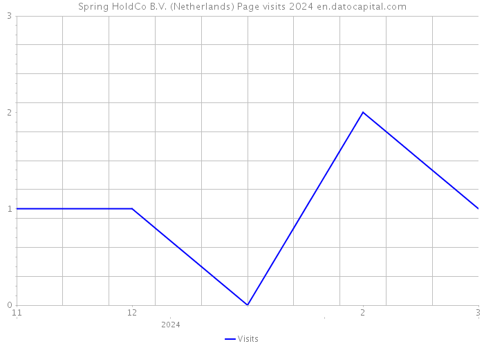 Spring HoldCo B.V. (Netherlands) Page visits 2024 