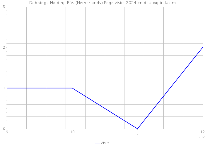 Dobbinga Holding B.V. (Netherlands) Page visits 2024 