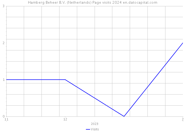 Hamberg Beheer B.V. (Netherlands) Page visits 2024 