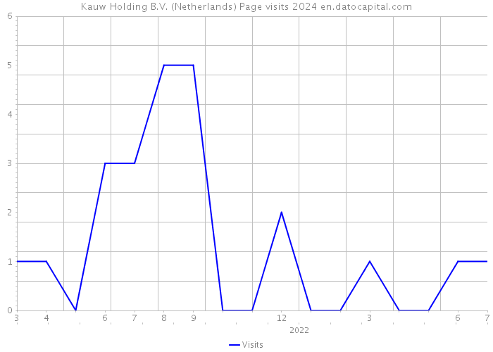 Kauw Holding B.V. (Netherlands) Page visits 2024 