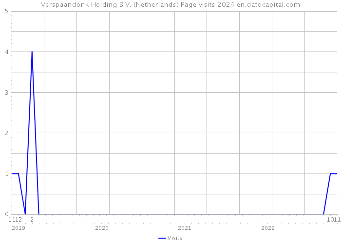 Verspaandonk Holding B.V. (Netherlands) Page visits 2024 