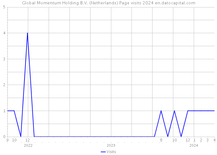 Global Momentum Holding B.V. (Netherlands) Page visits 2024 