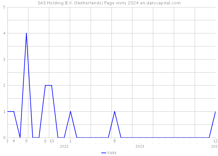 SAS Holding B.V. (Netherlands) Page visits 2024 