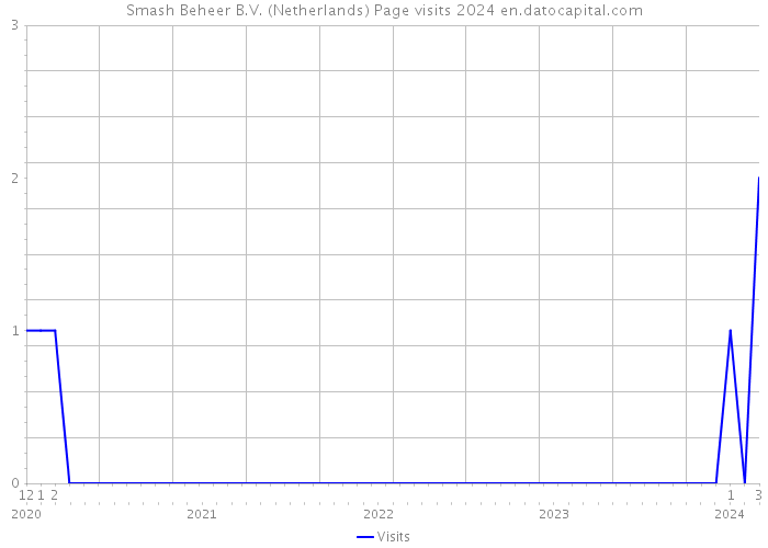 Smash Beheer B.V. (Netherlands) Page visits 2024 