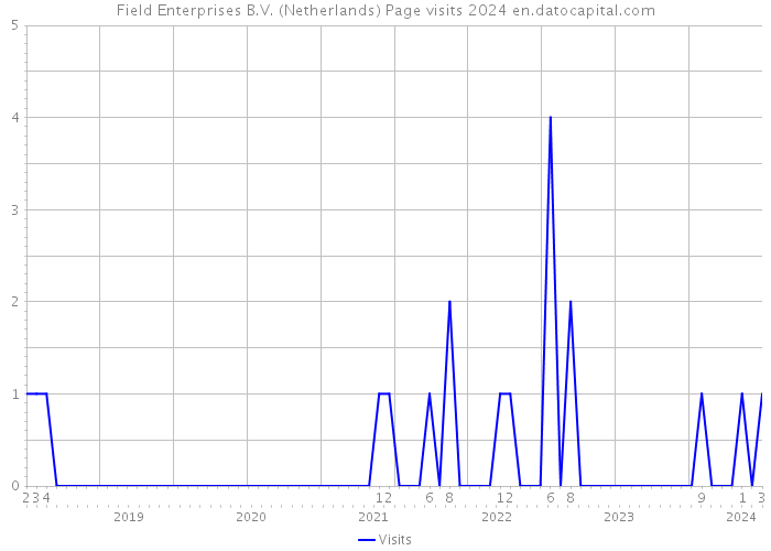 Field Enterprises B.V. (Netherlands) Page visits 2024 
