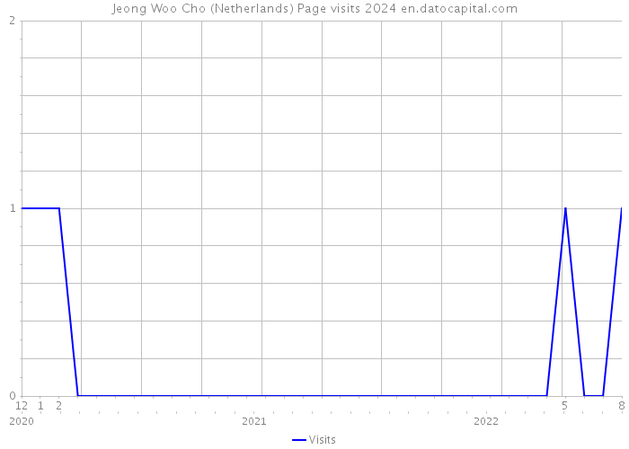 Jeong Woo Cho (Netherlands) Page visits 2024 