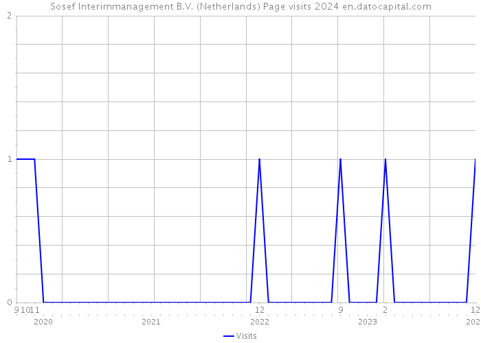 Sosef Interimmanagement B.V. (Netherlands) Page visits 2024 