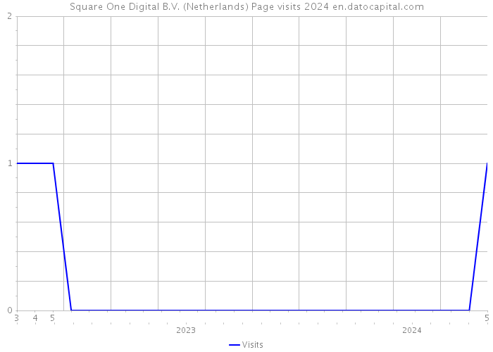 Square One Digital B.V. (Netherlands) Page visits 2024 