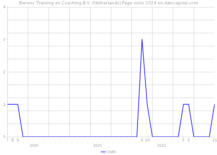 Bierens Training en Coaching B.V. (Netherlands) Page visits 2024 