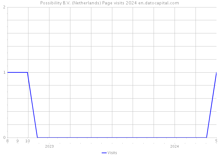 Possibility B.V. (Netherlands) Page visits 2024 