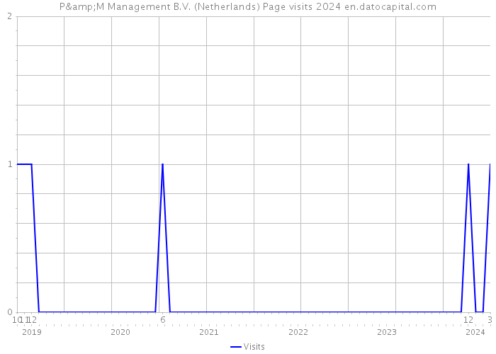 P&M Management B.V. (Netherlands) Page visits 2024 