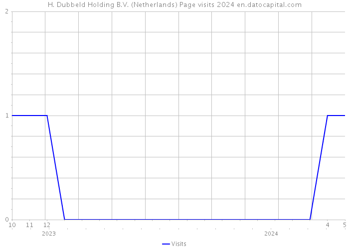 H. Dubbeld Holding B.V. (Netherlands) Page visits 2024 