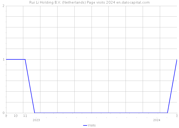 Rui Li Holding B.V. (Netherlands) Page visits 2024 