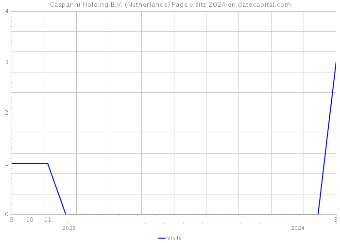 Caspanni Holding B.V. (Netherlands) Page visits 2024 