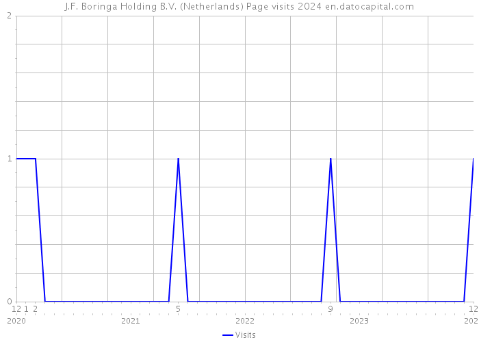 J.F. Boringa Holding B.V. (Netherlands) Page visits 2024 