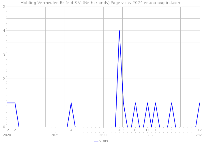 Holding Vermeulen Belfeld B.V. (Netherlands) Page visits 2024 
