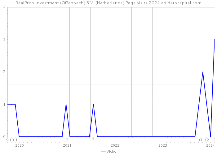 RealProb Investment (Offenbach) B.V. (Netherlands) Page visits 2024 