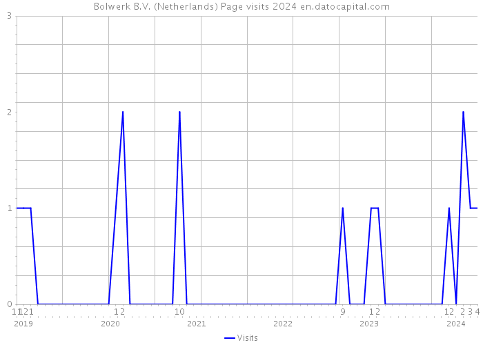 Bolwerk B.V. (Netherlands) Page visits 2024 