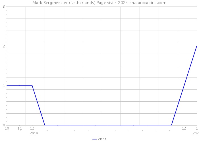 Mark Bergmeester (Netherlands) Page visits 2024 