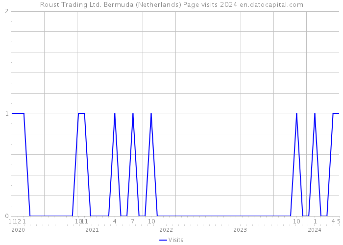 Roust Trading Ltd. Bermuda (Netherlands) Page visits 2024 