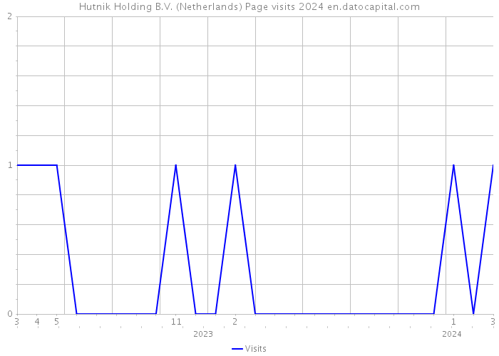Hutnik Holding B.V. (Netherlands) Page visits 2024 