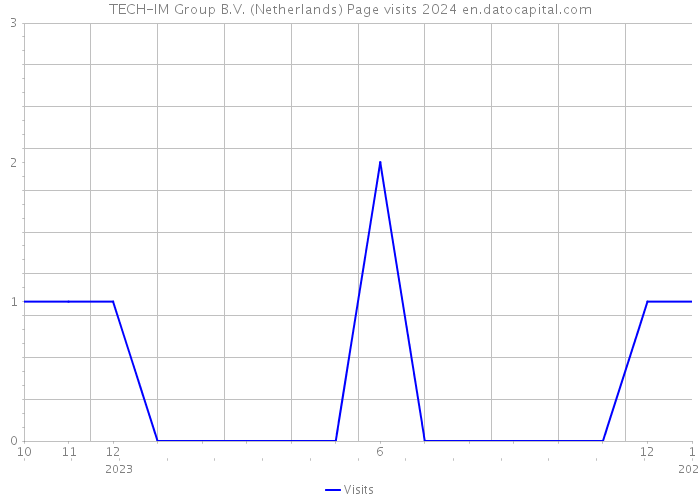 TECH-IM Group B.V. (Netherlands) Page visits 2024 