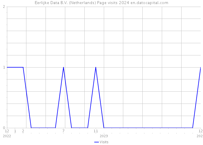 Eerlijke Data B.V. (Netherlands) Page visits 2024 