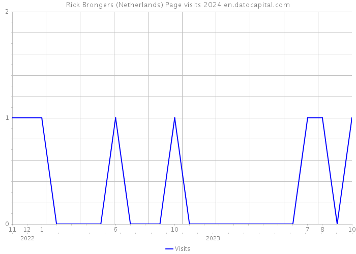 Rick Brongers (Netherlands) Page visits 2024 