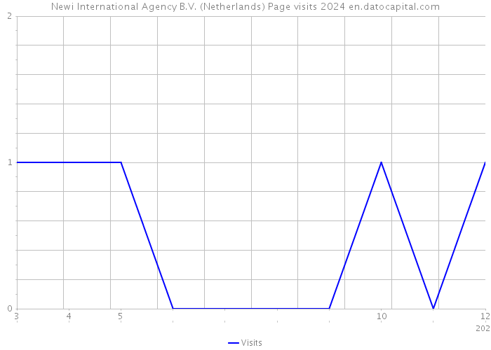 Newi International Agency B.V. (Netherlands) Page visits 2024 