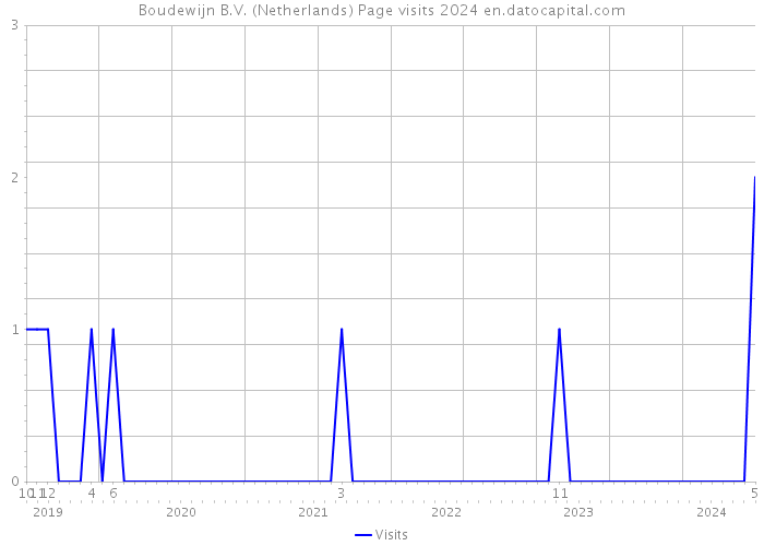 Boudewijn B.V. (Netherlands) Page visits 2024 