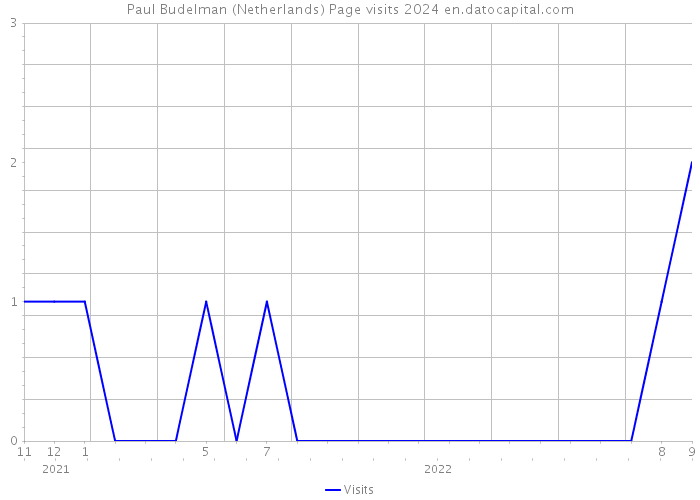 Paul Budelman (Netherlands) Page visits 2024 