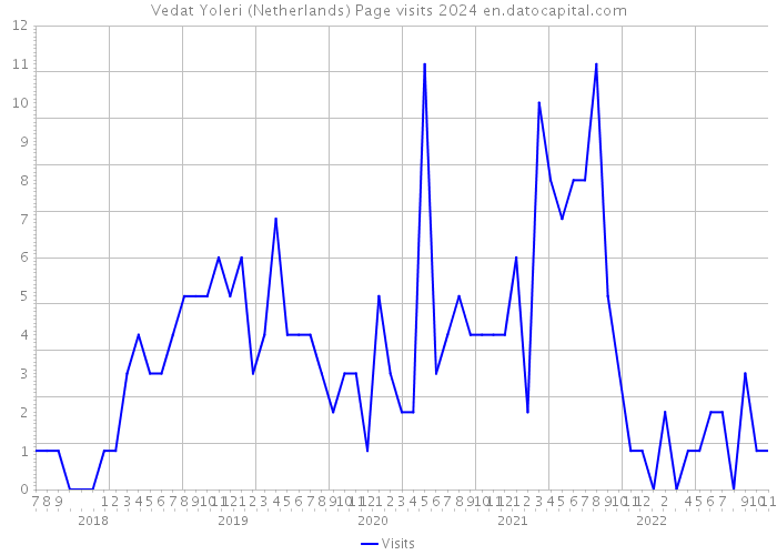 Vedat Yoleri (Netherlands) Page visits 2024 
