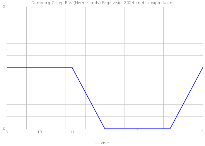 Domburg Groep B.V. (Netherlands) Page visits 2024 
