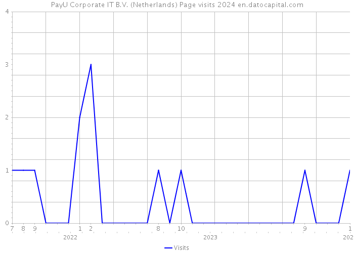 PayU Corporate IT B.V. (Netherlands) Page visits 2024 