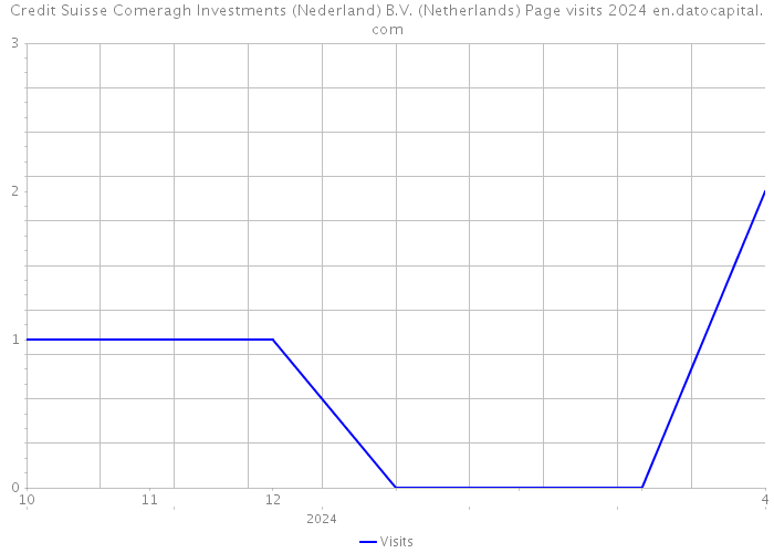 Credit Suisse Comeragh Investments (Nederland) B.V. (Netherlands) Page visits 2024 